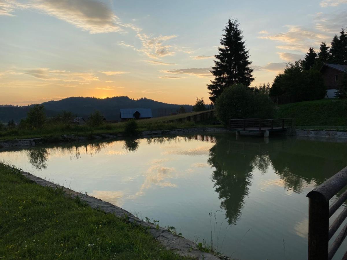 Pensiunea La Bella Vista 4* Poiana Negrii