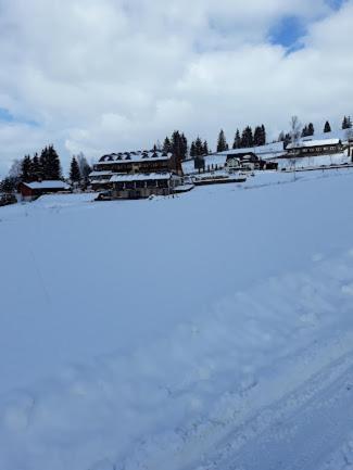 Pensiunea La Bella Vista 4* Poiana Negrii